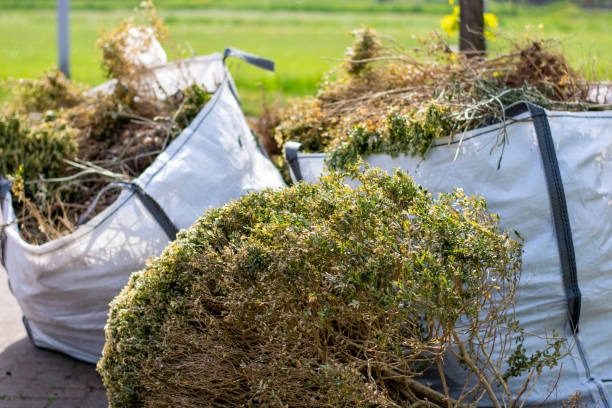 Yard Cleanup Services in Shrewsbury, PA
